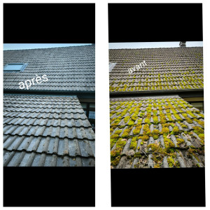 Photo de galerie - Nettoyage toiture 