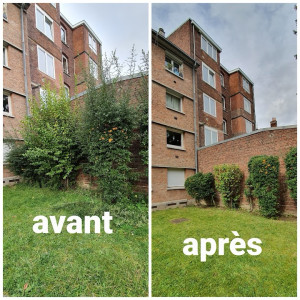 Photo de galerie - Taille de haie à Montpellier 