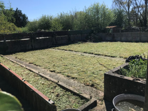 Photo de galerie - Tonte de pelouse - Débroussaillage