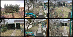 Photo de galerie - Nettoyage de jardin, taille de haies et débroussaillage