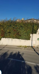 Photo de galerie - Après