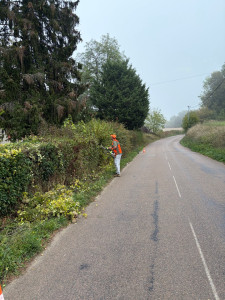 Photo de galerie - Taillage de haie