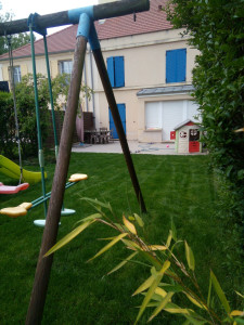 Photo de galerie - Après première tonte.