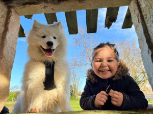 Photo de galerie - Garde enfant et animaux