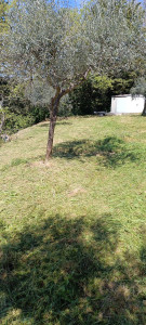 Photo de galerie - Débroussaillage