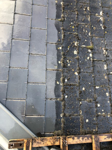 Photo de galerie - Nettoyage de toiture en ardoise 