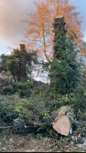 Photo de galerie - Après