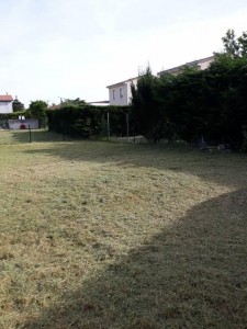 Photo de galerie - Tonte de pelouse - Débroussaillage