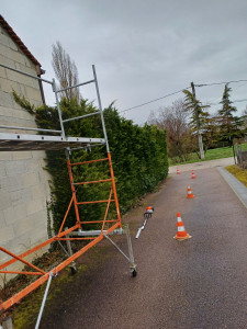 Photo de galerie - Taille de haie 