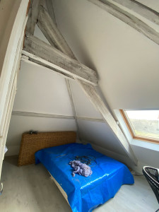 Photo de galerie - Peinture - Tapisserie