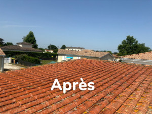 Photo de galerie - Couverture - Toiture