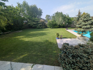 Photo de galerie - Tonte de pelouse