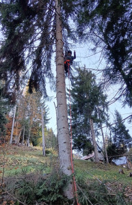 Photo de galerie - Démontage..