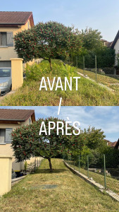 Photo de galerie - Tonte