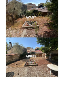 Photo de galerie - Nettoyage complet d’un jardin + suppression d’un prunier mort 