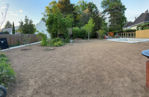 Photo de galerie - Création de pelouse