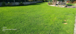 Photo de galerie - Tonte en herbicyclage 