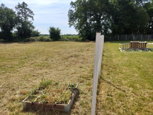 Photo de galerie - 4000 metre d herbe haute 1.20cm de hauteur 