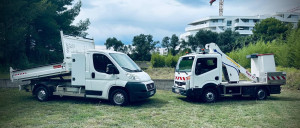 Photo de galerie - Elagage et coupe d'arbres