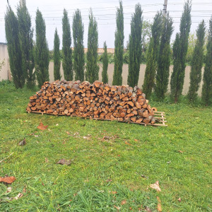 Photo de galerie - Bois de chauffage