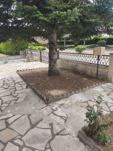 Photo de galerie - Elagage et coupe d'arbres