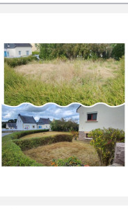 Photo de galerie - Débroussaillage