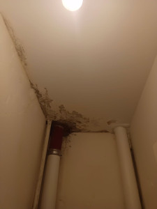 Photo de galerie - Plâtrerie - Murs - Plafonds