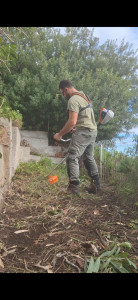 Photo de galerie - Débroussaillage restanques