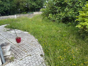 Photo de galerie - Tonte de pelouse - Débroussaillage