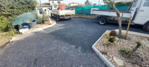 Photo de galerie - Elagage et coupe d'arbres