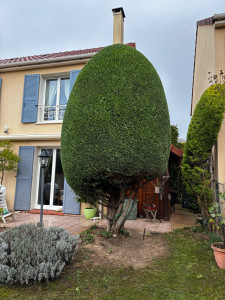 Photo de galerie - Taille 