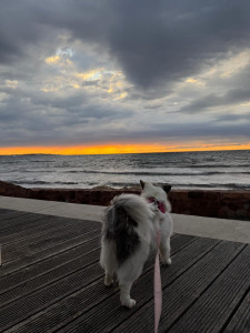 Photo de galerie - Rosi