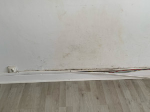 Photo de galerie - Peinture - Tapisserie