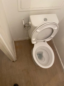 Photo de galerie - Remplacement toilette 