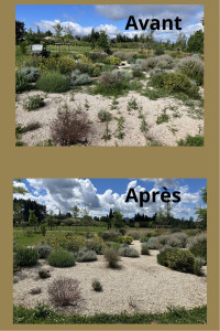 Photo de galerie - Jardinier