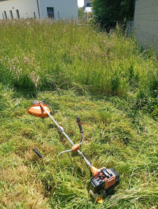 Photo de galerie - Tonte de pelouse - Débroussaillage
