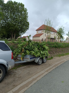 Photo de galerie - évacuation des déchets 