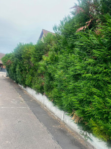 Photo de galerie - Avant 
