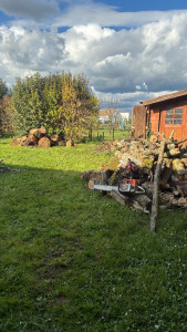 Photo de galerie - Elagage et coupe d'arbres