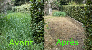 Photo de galerie - Taille de haies et débroussaillage 