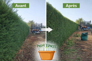 Photo de galerie - Chantier effectué sur la commune de Fonsorbes 