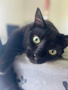 Photo de galerie - Garde de Romy