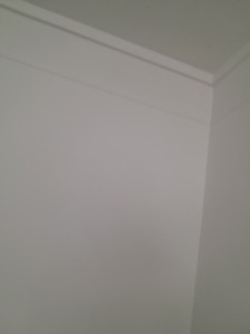 Photo de galerie - Moisissure 