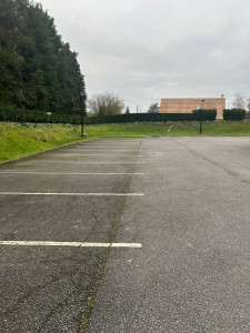 Photo de galerie - Taille de haies et d'arbustes