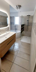 Photo de galerie - Colonne de douche , meuble vasque , robinetterie 