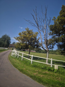 Photo de galerie - Bricolage 