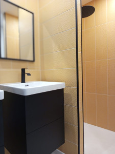 Photo de galerie - Finitions salle de bain 