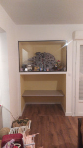 Photo de galerie - Plâtrerie - Murs - Plafonds