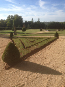 Photo de galerie - Création d'un dédale de buis