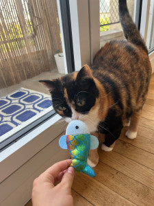 Photo de galerie - Voulzie 